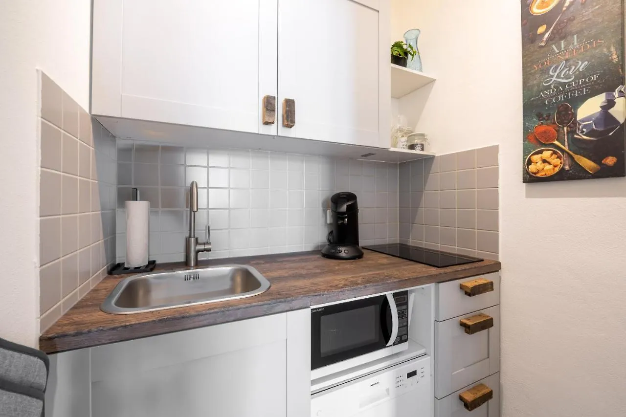 Grosse Altstadtwohnung In Top Lage Zentrum Dresden Tyskland